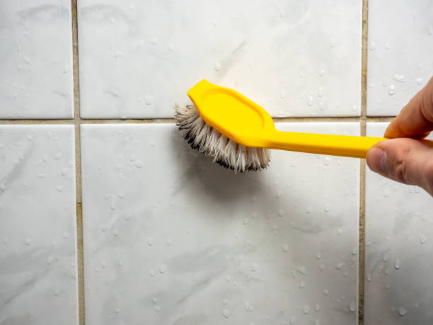 Best DIY Mold Remediation Support Services in White Marsh, MD