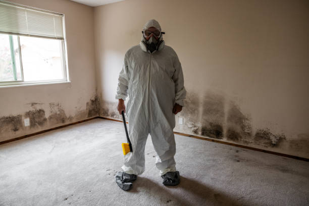 Best Bathroom Mold Remediation in White Marsh, MD